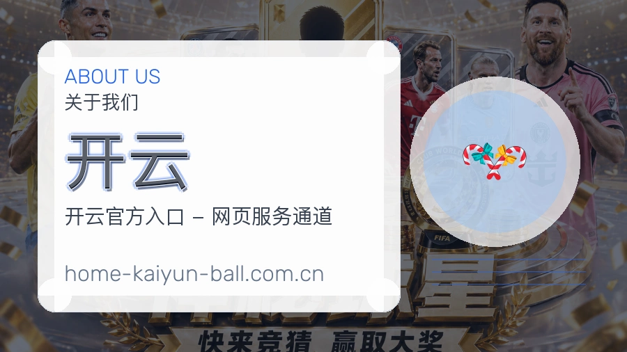 开云观赛交流服务说明
